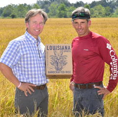 Coming Home to Rice Fields - Louisiana Farm & Ranch